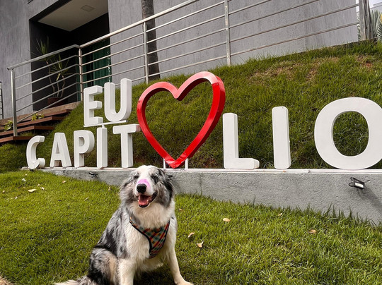 Escarpas Eco Village主图