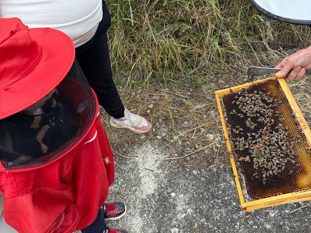 Melipap Apiary-Polemarchi必去景点
