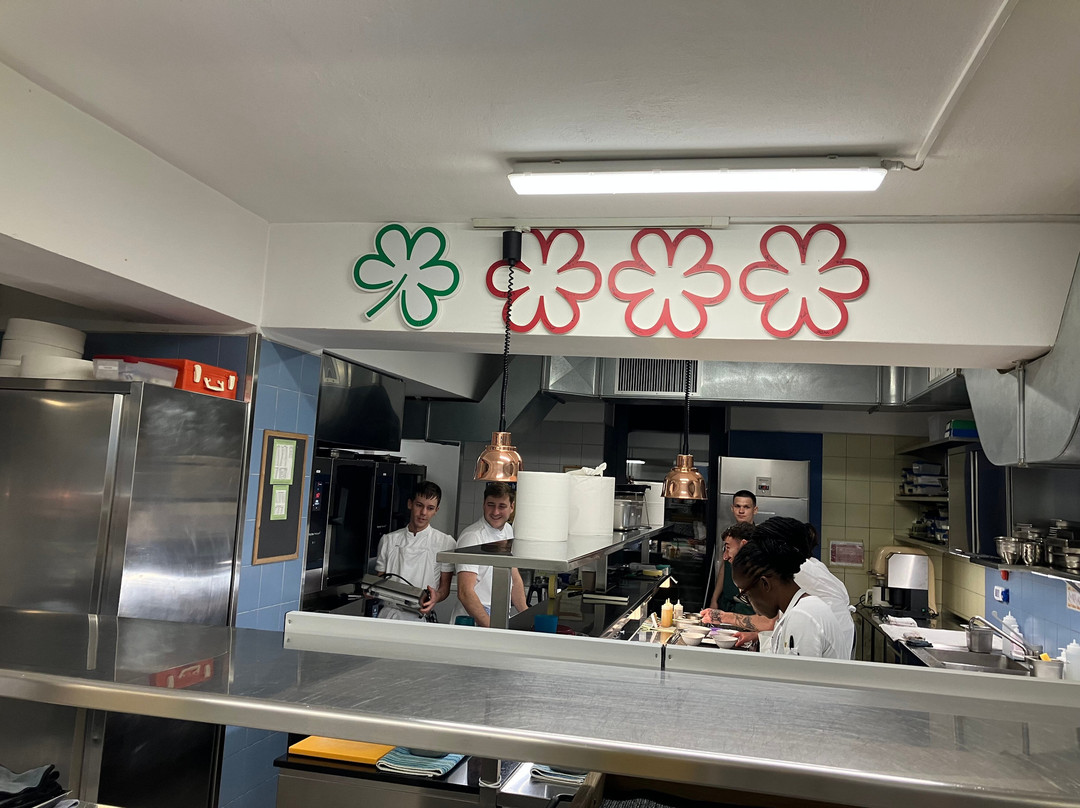 Discover Soca Tours & Transfers-博韦茨必去景点