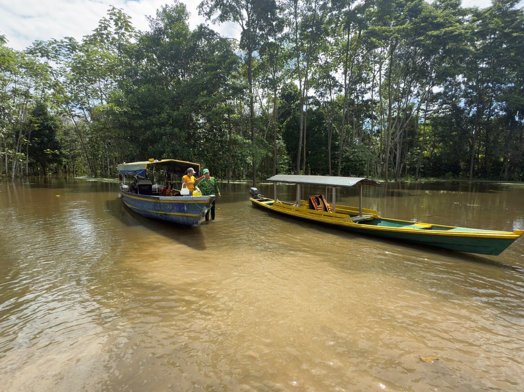 Amazonas Jungle Tours Operator景点图片