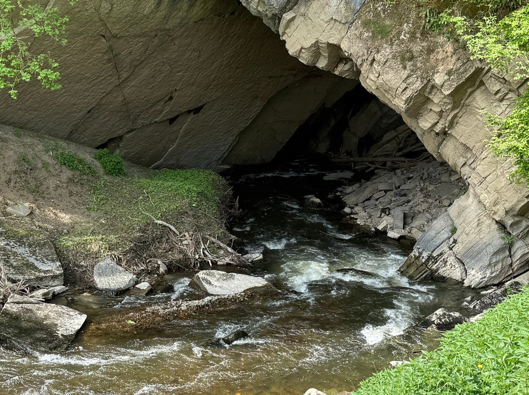 Domaine Des Grottes De Han景点图片