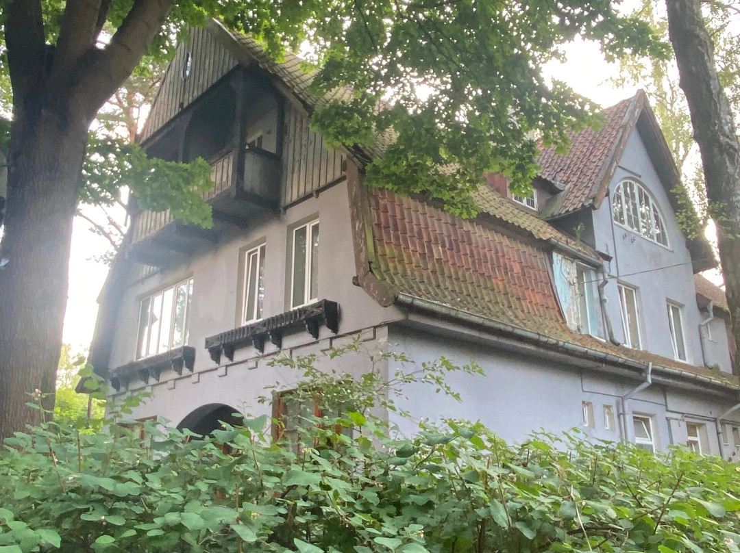Villa Rosenhaus景点图片
