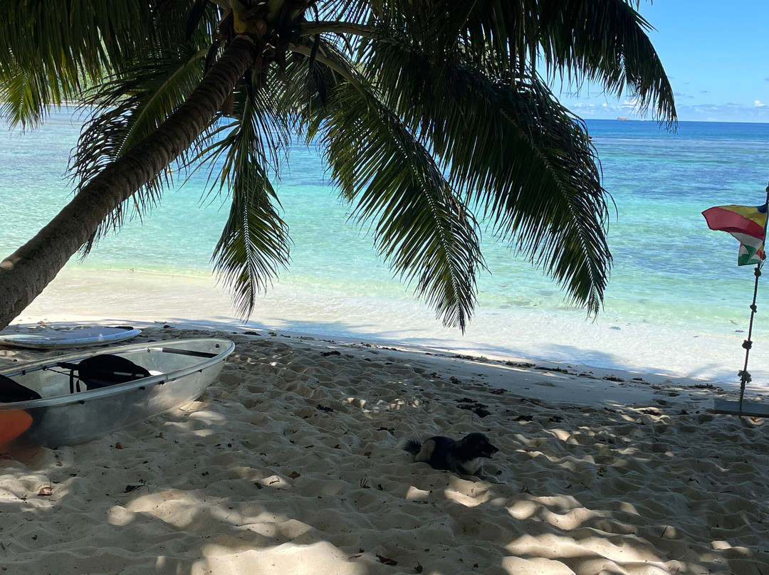 Dive Resort Seychelles景点图片