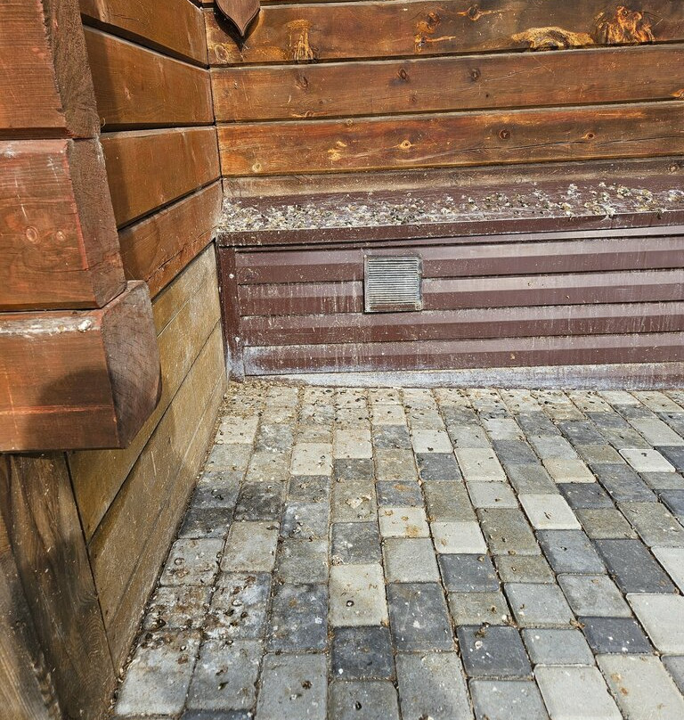 Altai Palace Hotel主图