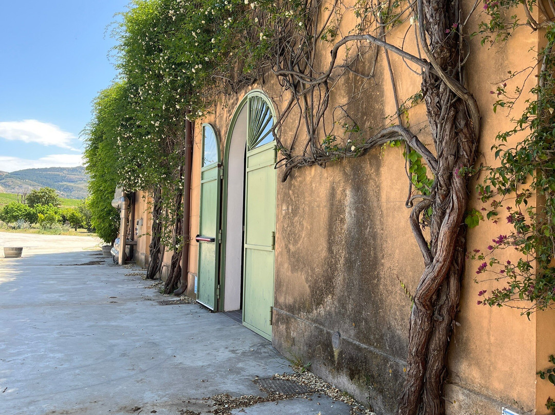 Planeta Winery-Sambuca di Sicilia必去景点