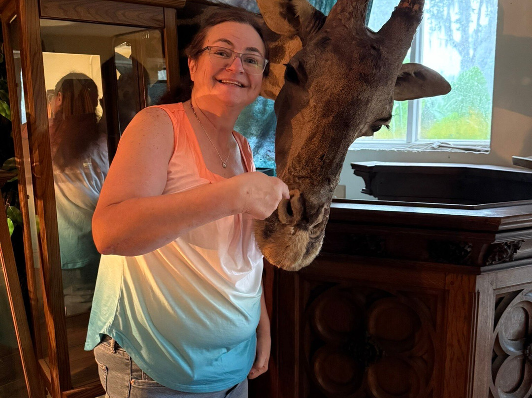 Wonder House-Bartow必去景点