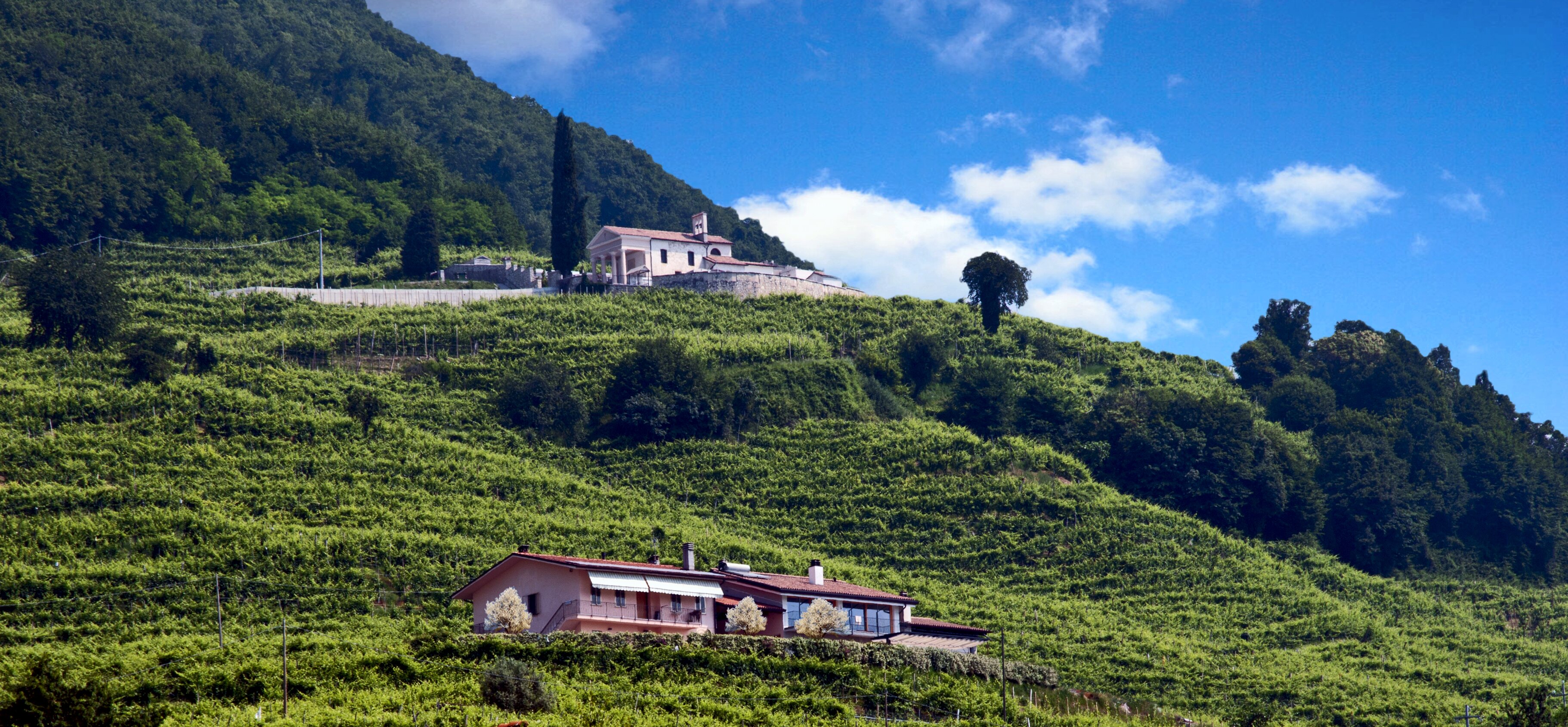 Agriturismo B&B Casa Bortolin-官方