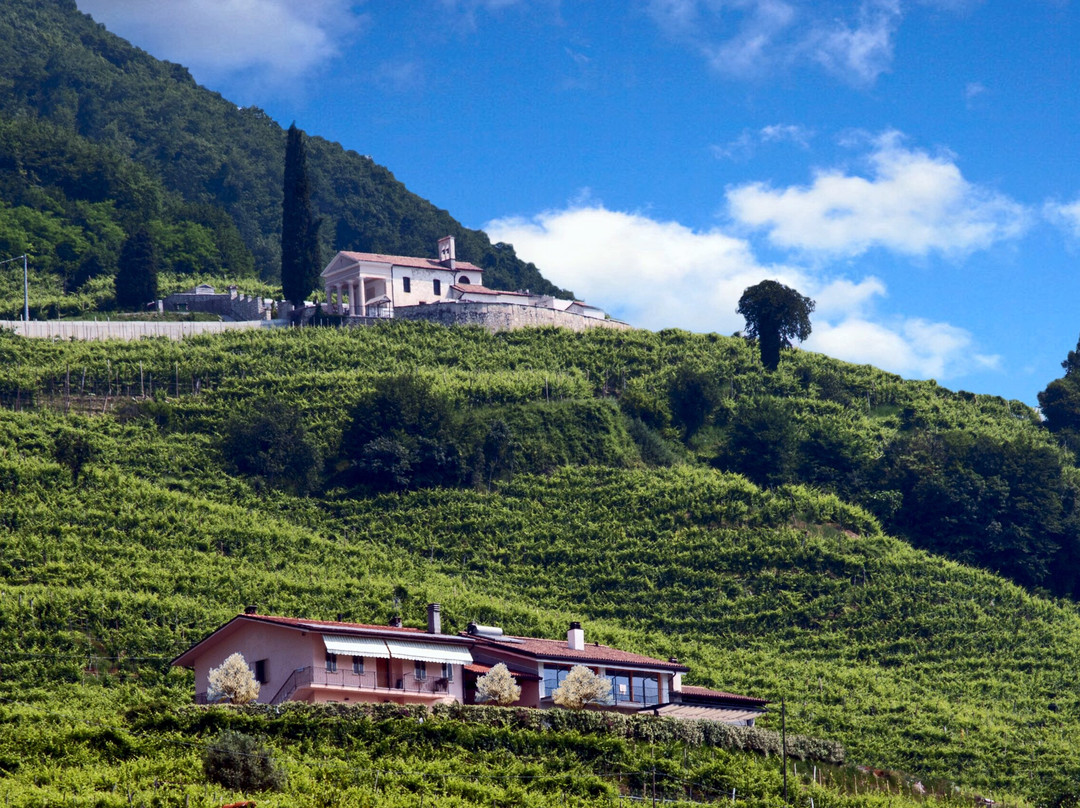 Agriturismo B&B Casa Bortolin主图