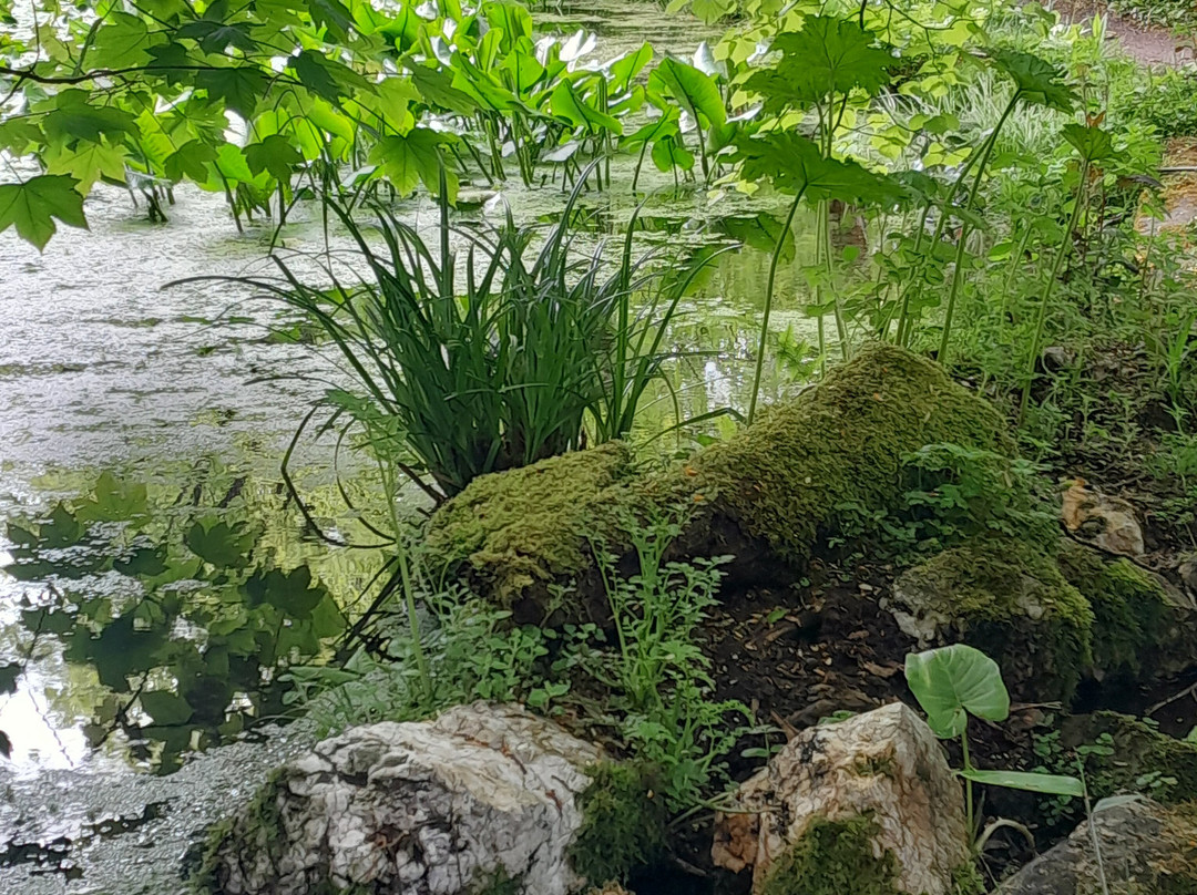 Enys Gardens-Penryn必去景点
