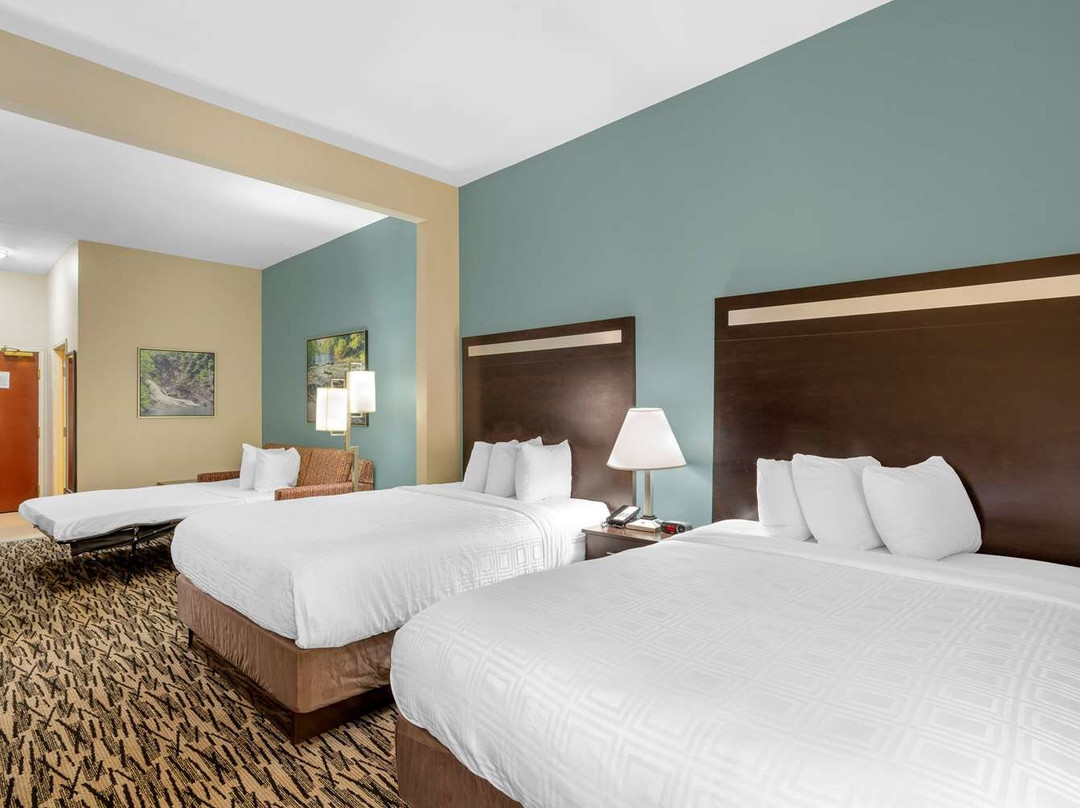 Best Western Plus Mcdonough Inn & Suites主图