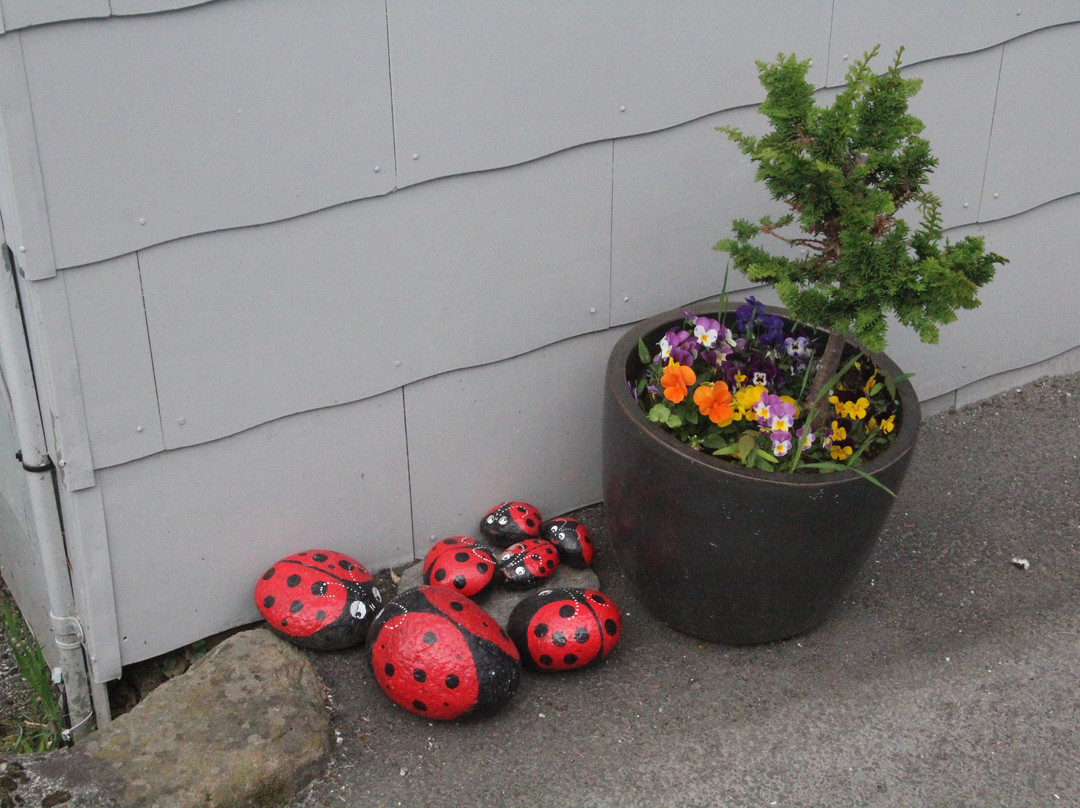 Sogndalstrand-Hauge必去景点