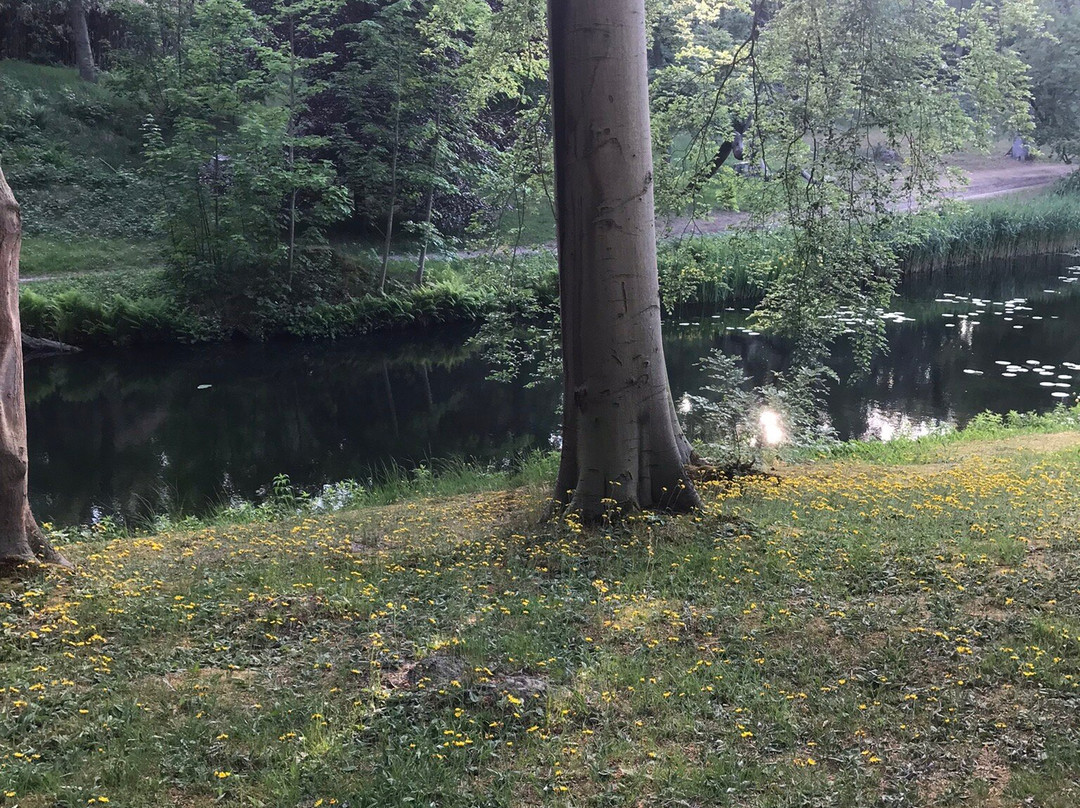 Elswout wandel-park van Staatsbosbeheer景点图片