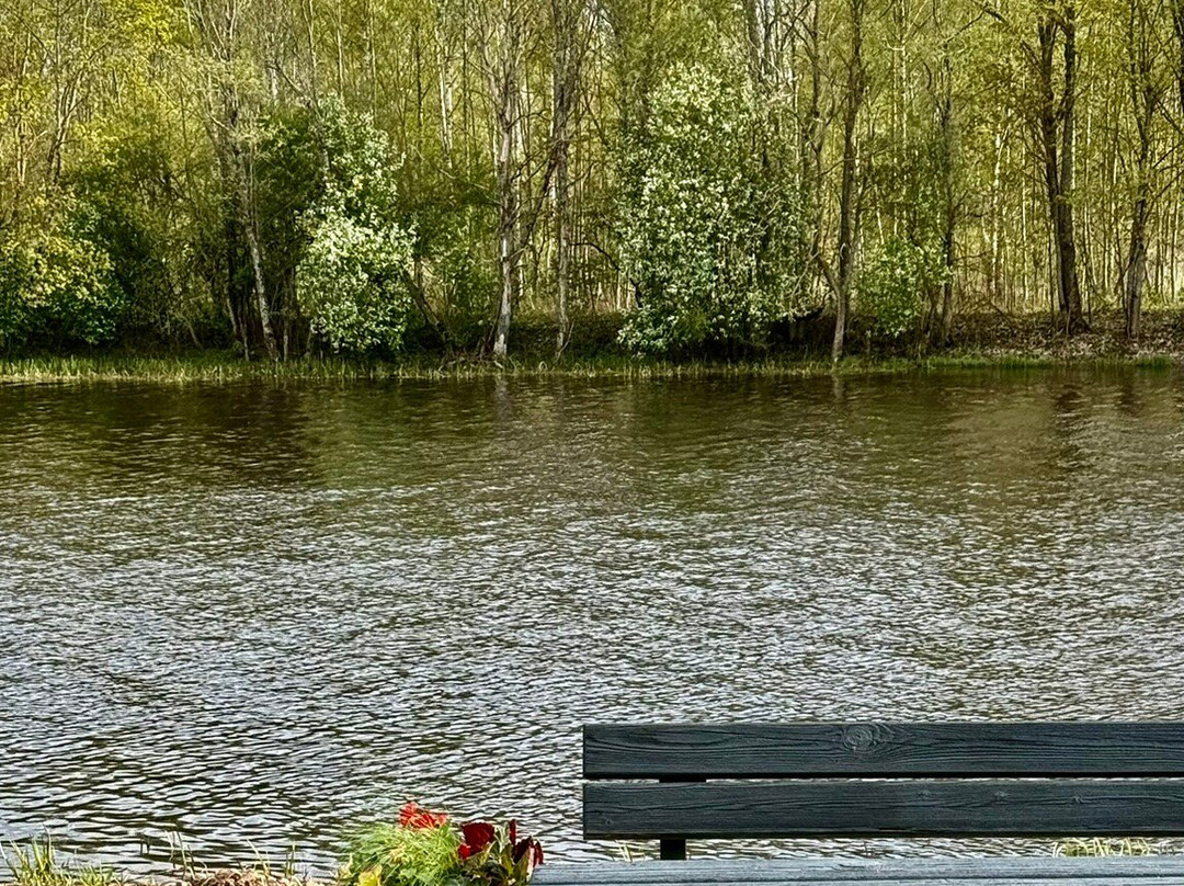 Bursh Alus Brūzis