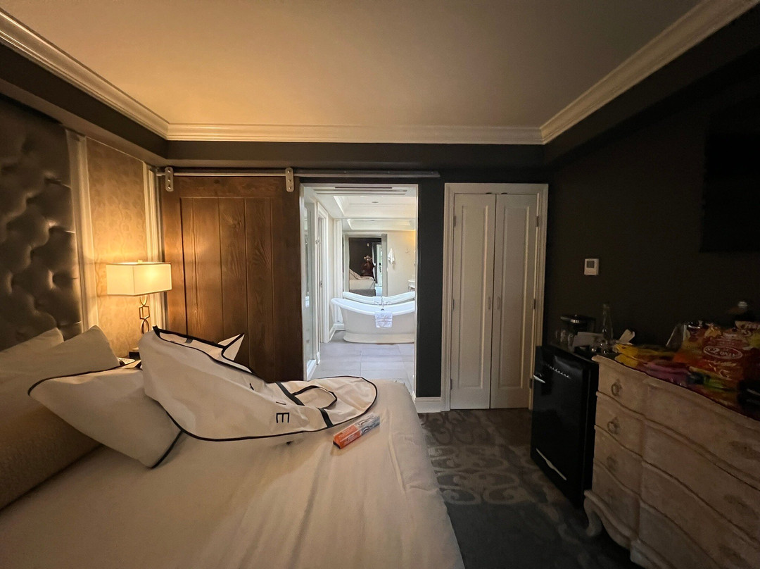 巴拉德酒店主图