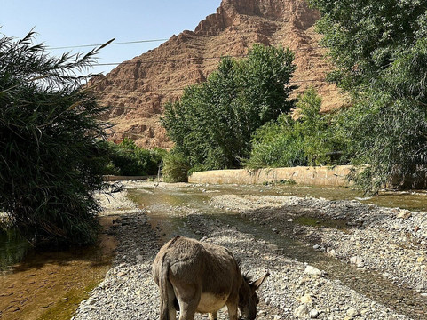 Ifoulki Morocco Travel-廷吉尔必去景点