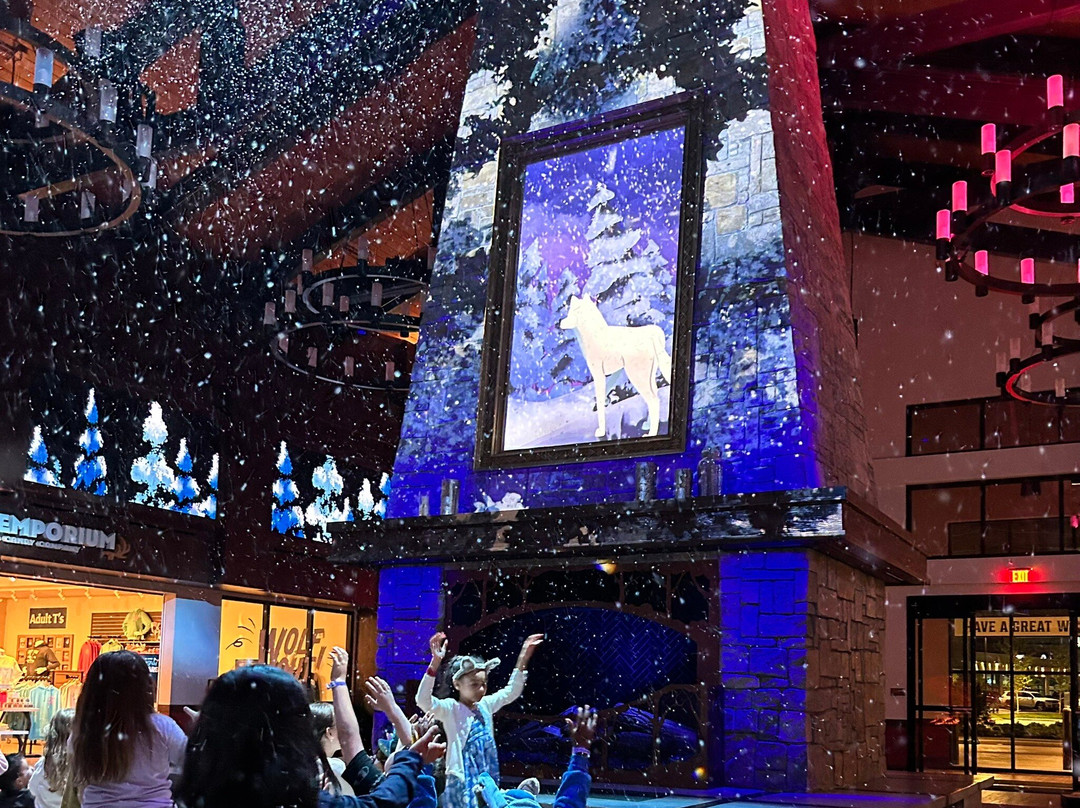 Great Wolf Lodge - Mashantucket, CT