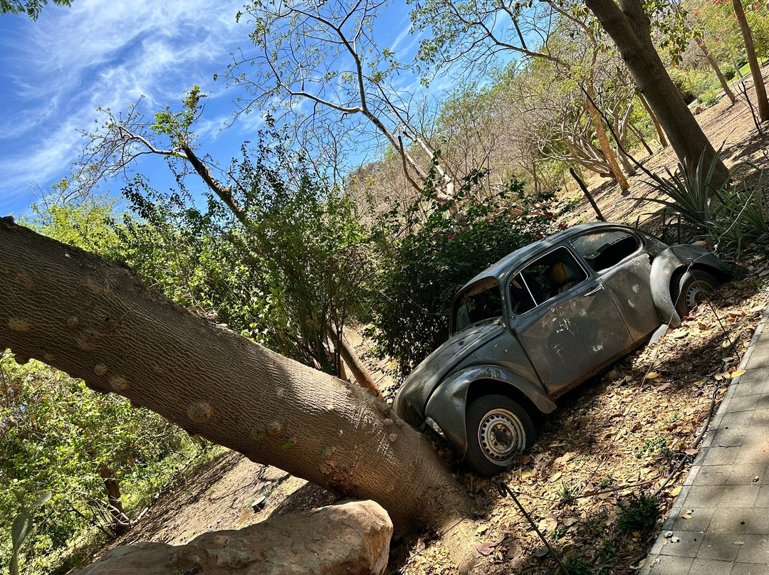 Jardin Botanico Culiacan-Culiacan必去景点