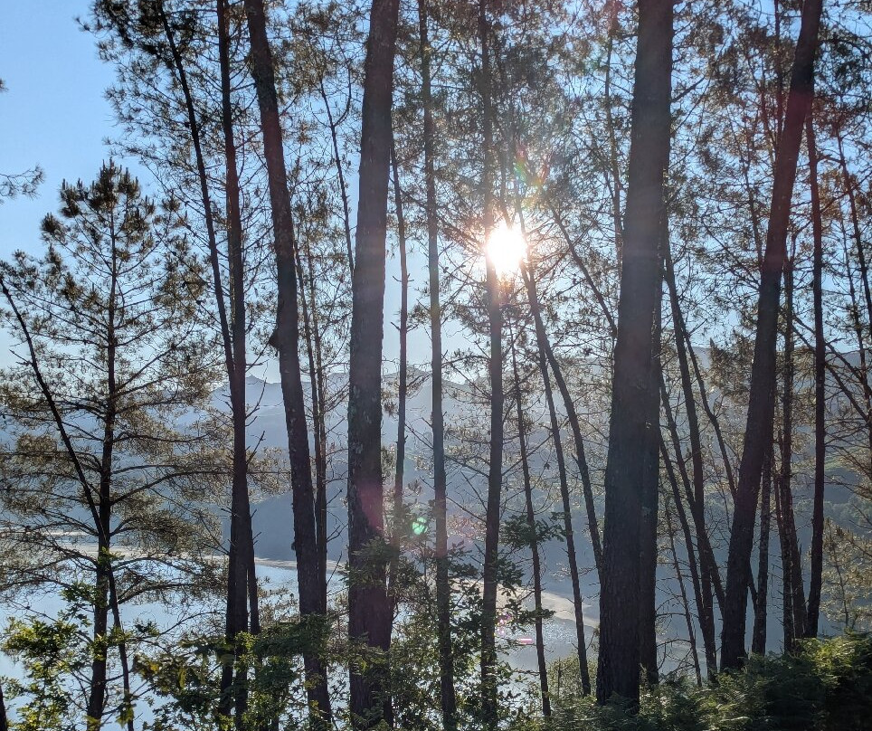 Lima Escape-Ponte da Barca必去景点