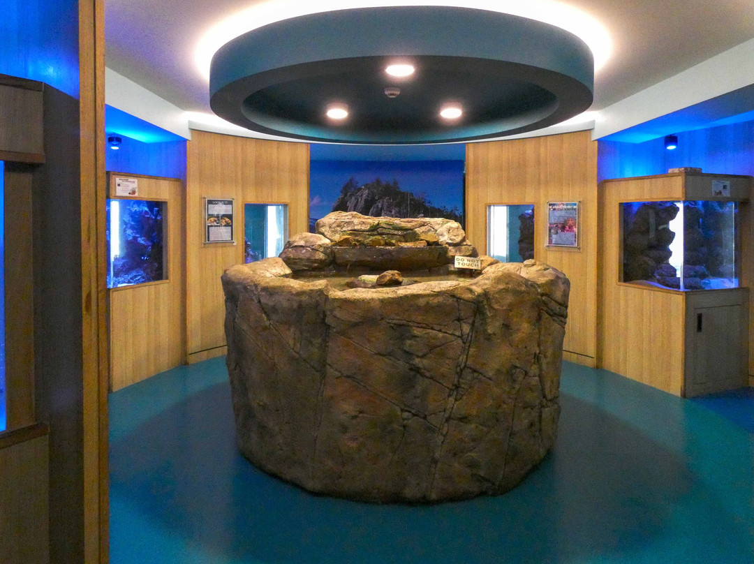 日梦岛温泉度假酒店主图