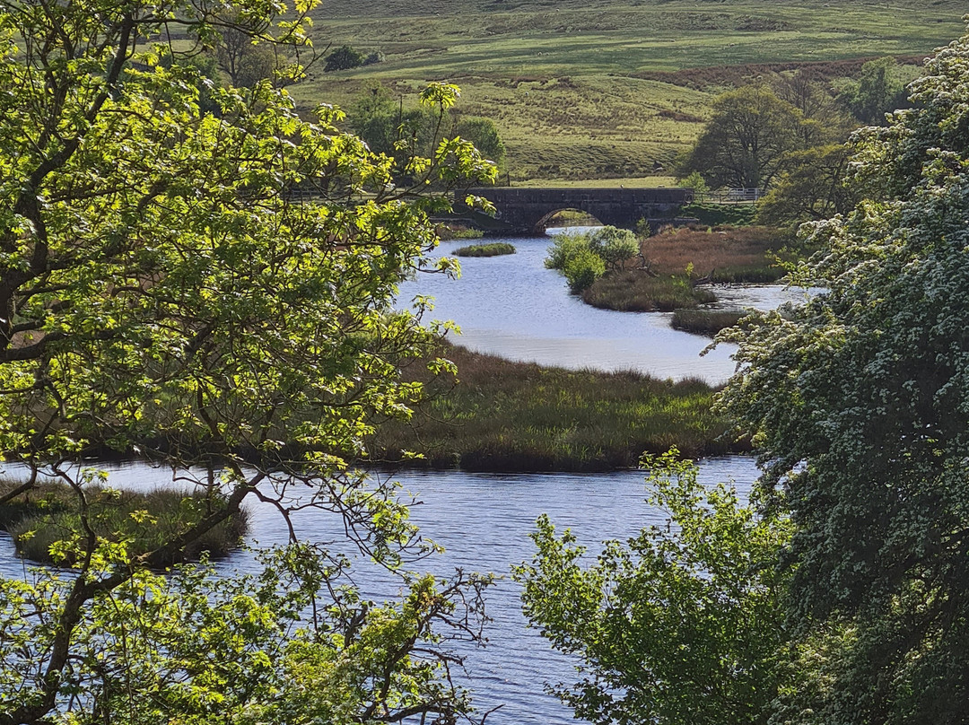 Hannah's Meadow-Barnard Castle必去景点