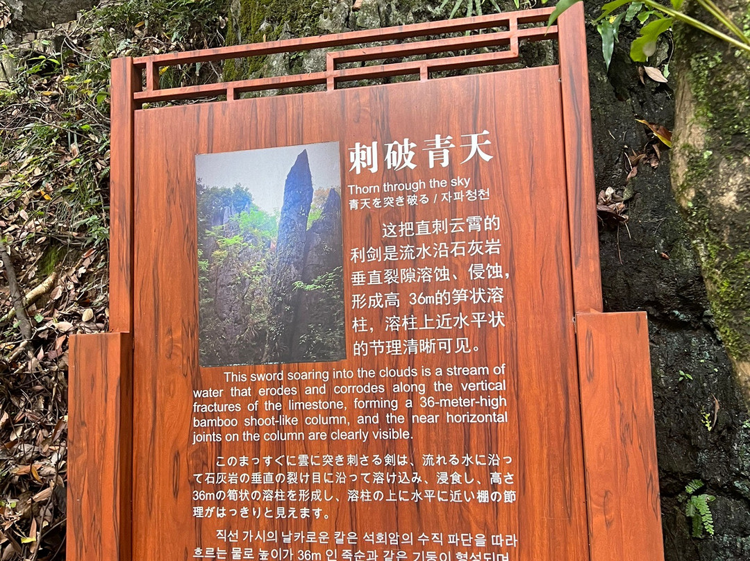 永安鳞隐石林-永安市必去景点