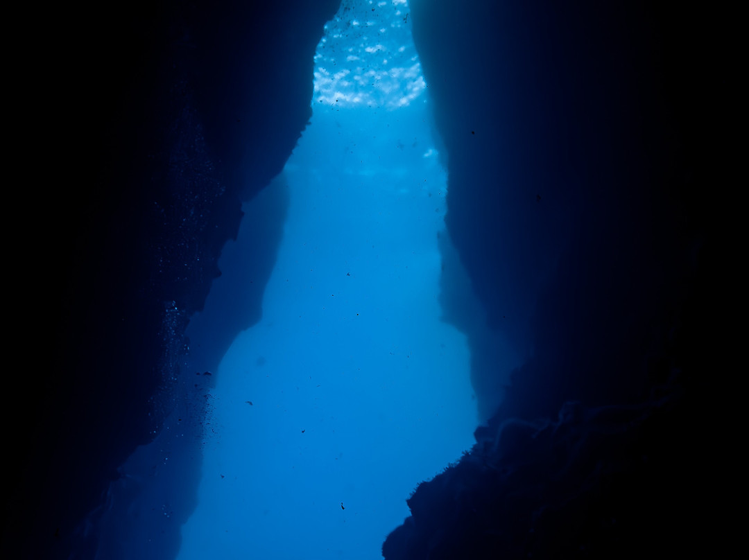 Deep Turtle Plongee-Les Anses d'Arlet必去景点