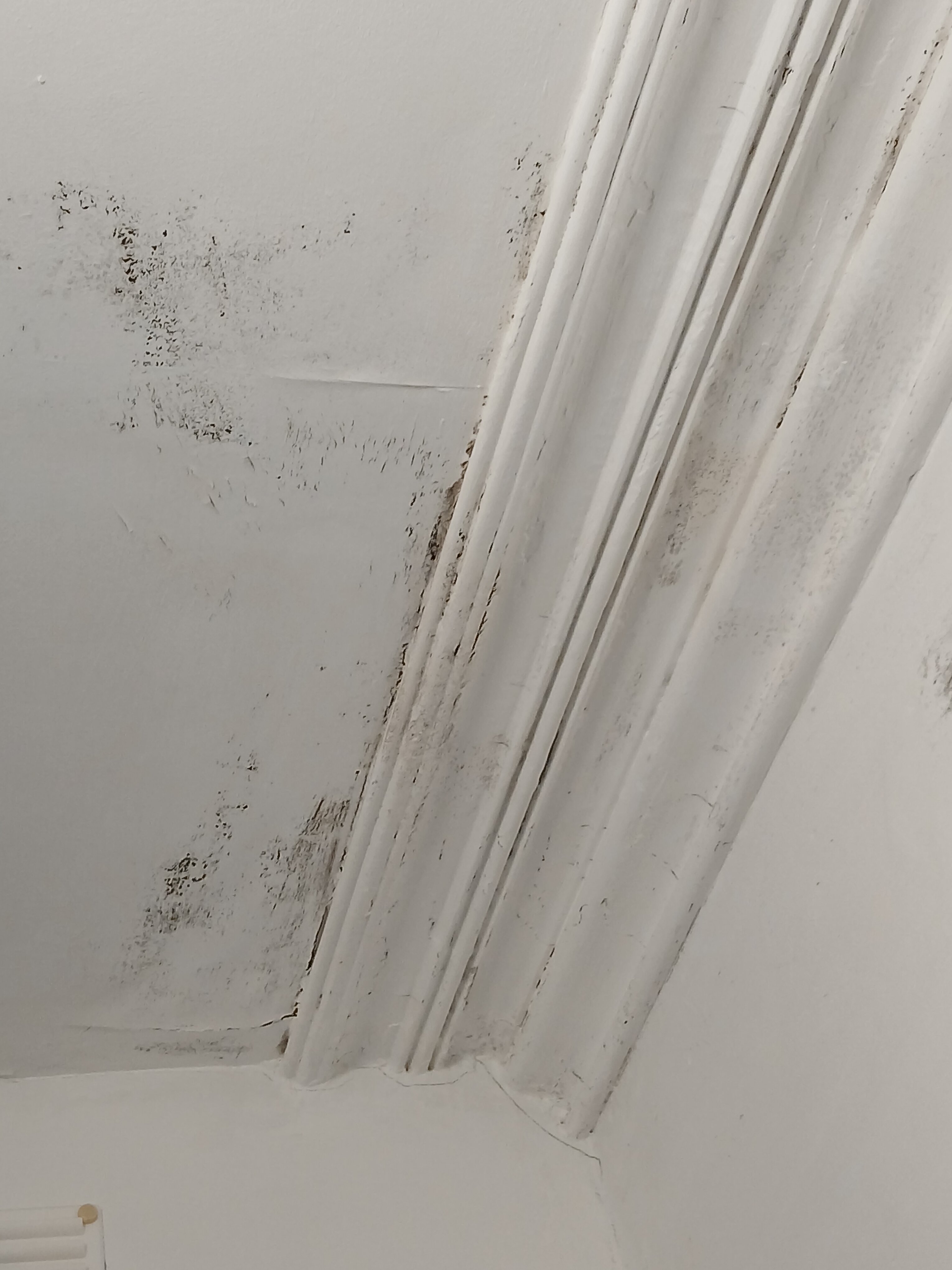 Y Castell Hotel-官方