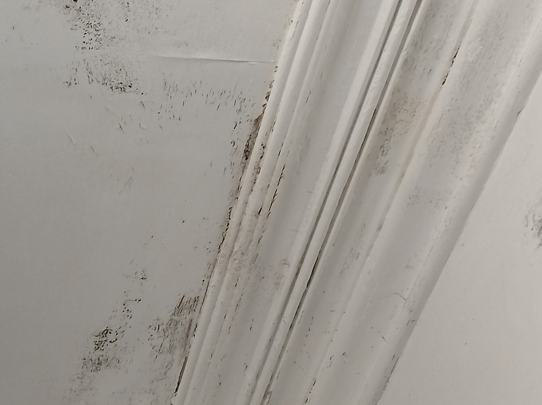 Y Castell Hotel主图