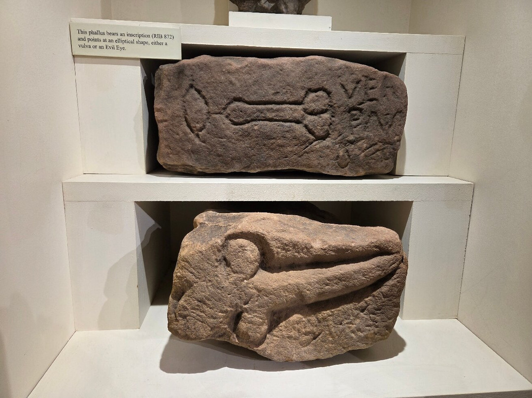 Senhouse Roman Museum景点图片