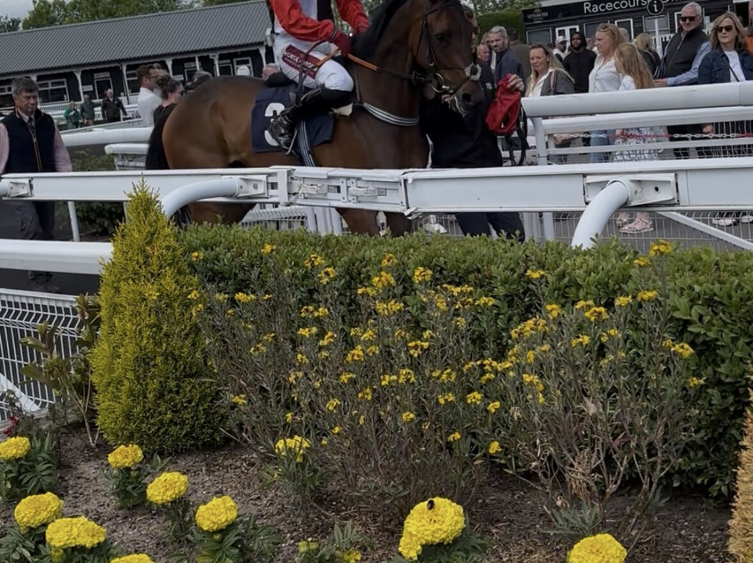 Uttoxeter Racecourse-Uttoxeter必去景点