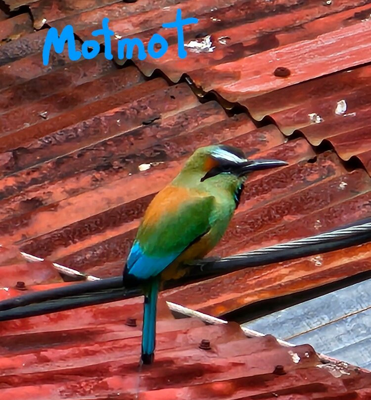 Costa Rica Expeditions景点图片