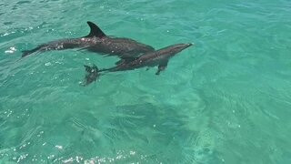 Goodlife Watersports-Leeward必去景点