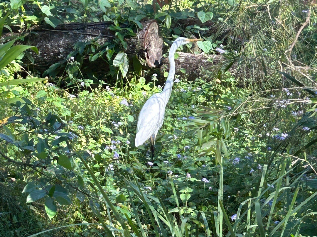 David Fleay Wildlife Park-West Burleigh必去景点