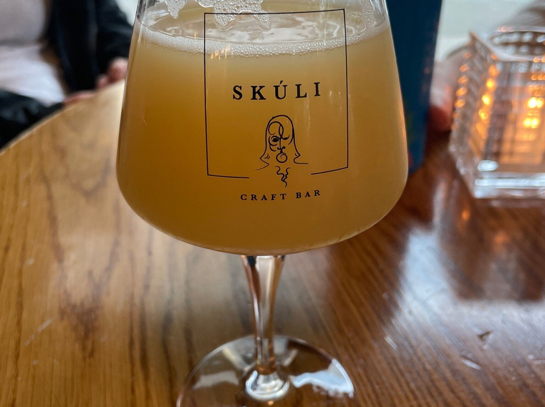 Skuli Craft Bar-雷克雅未克必去景点