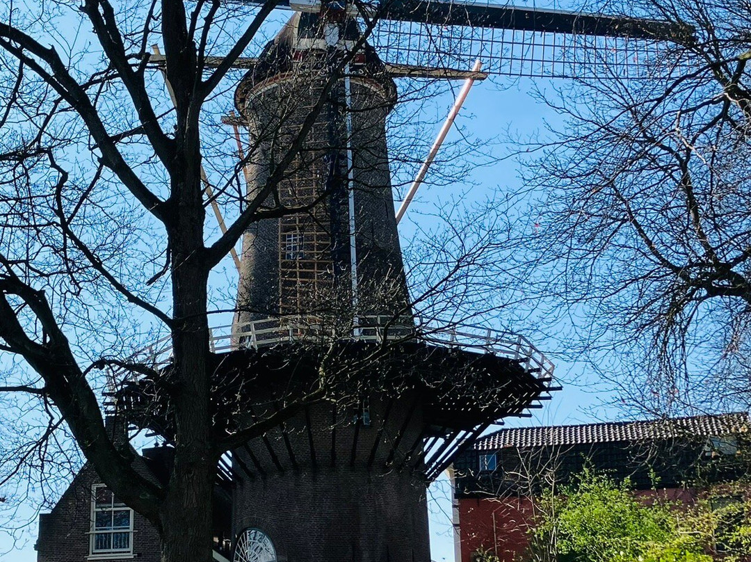 Red Lion Windmill (Molen De Roode Leeuw)-高德必去景点