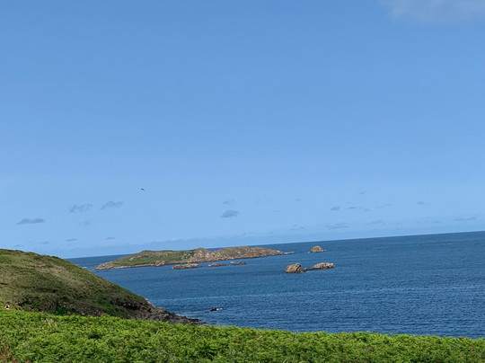 Seahorse Boat Trips-圣艾维斯必去景点