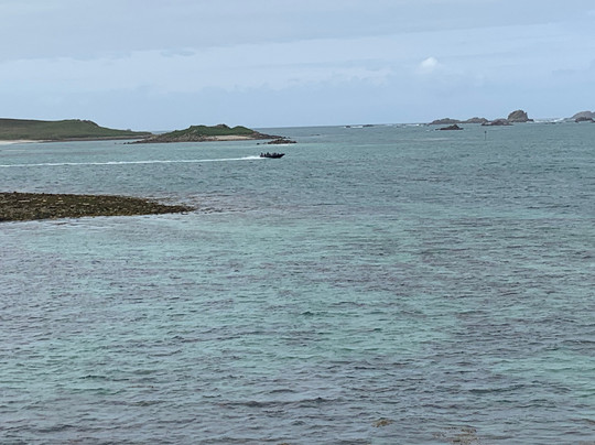 Seahorse Boat Trips-圣艾维斯必去景点