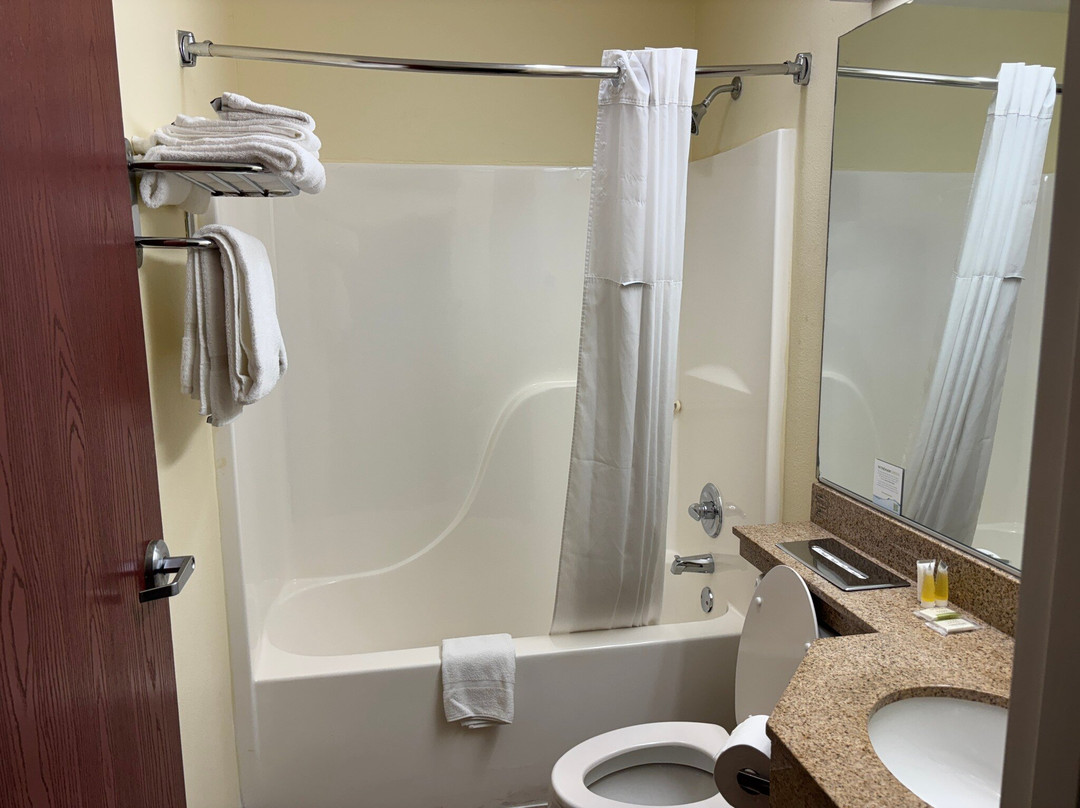 Microtel Inn & Suites by Wyndham Indianapolis Airport主图