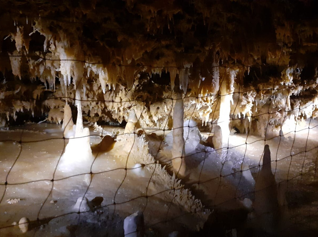 Grotte du Grand Roc景点图片