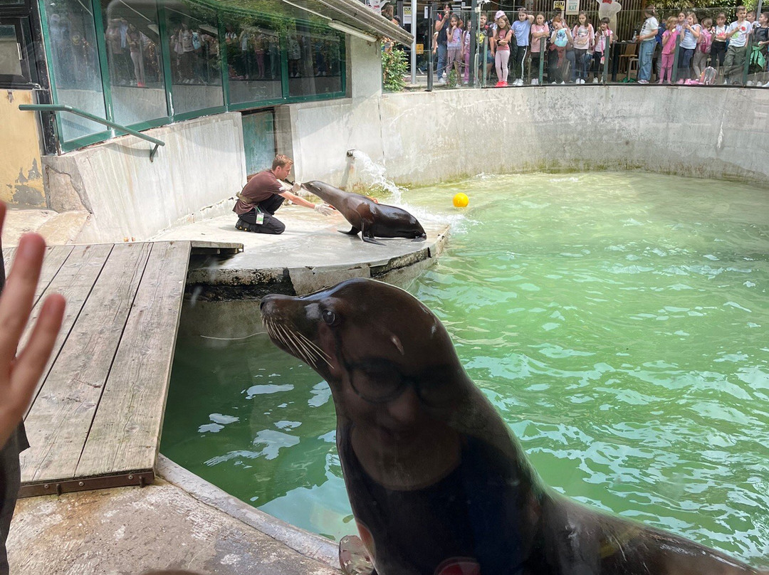 Zoo Zagreb-萨格勒布必去景点