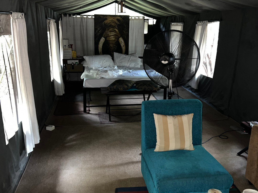 Travelling Pearl Lanka-尼甘布必去景点