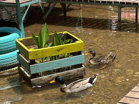 阿德拉桑河酒店主图