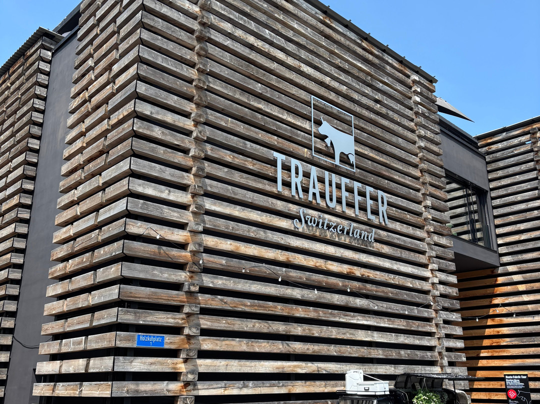 Bretterhotel - Trauffer Switzerland主图