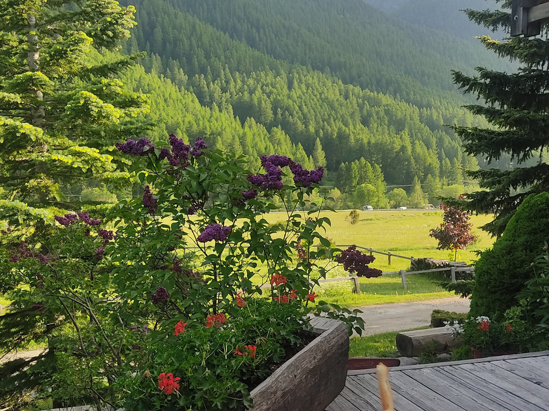 Le Chalet d'en Hô主图