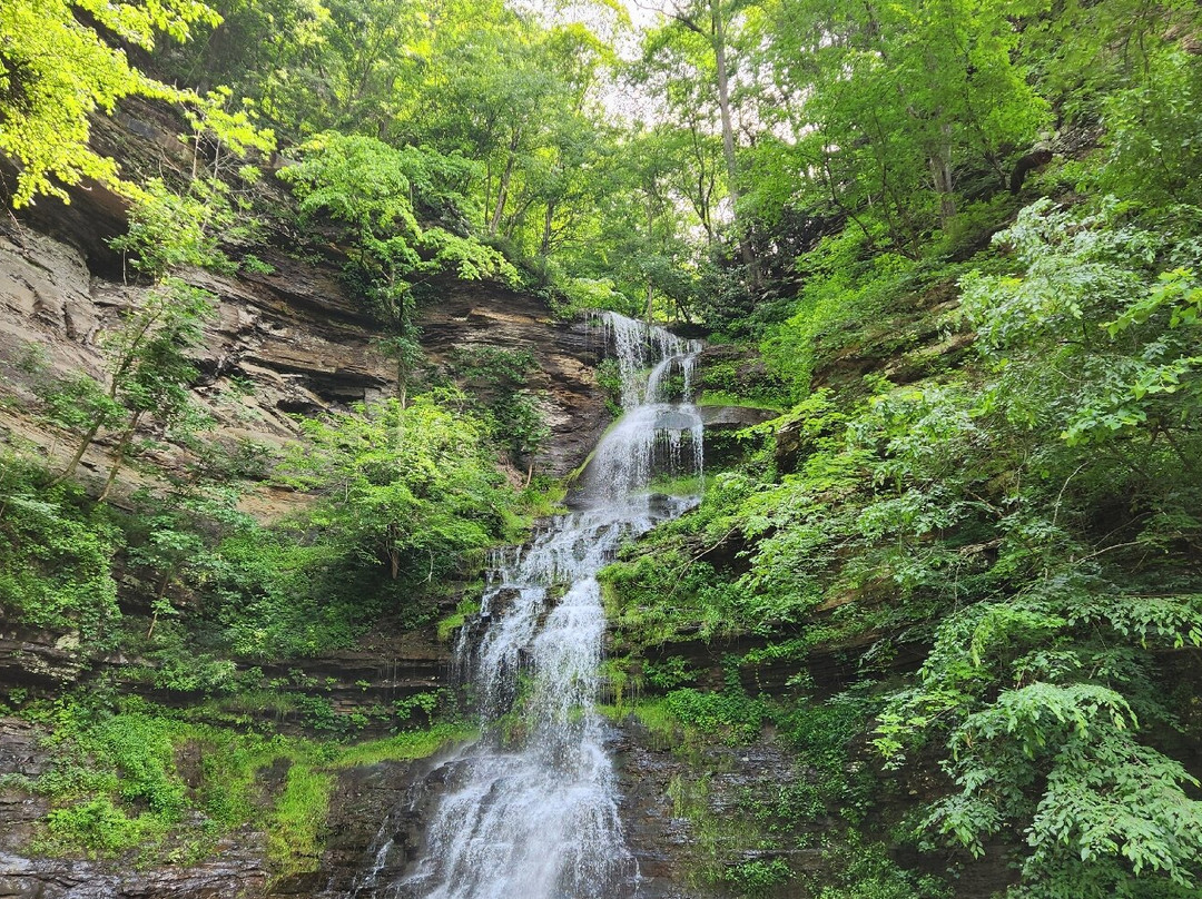 Cathedral Falls-Gauley Bridge必去景点