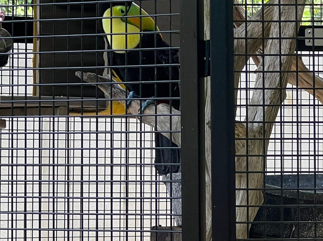 The Wonder Gardens-博尼塔斯普林斯必去景点