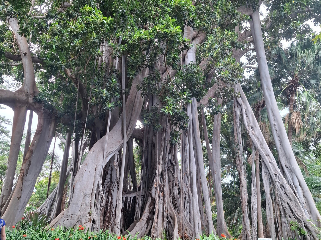 Botanischer Garten景点图片