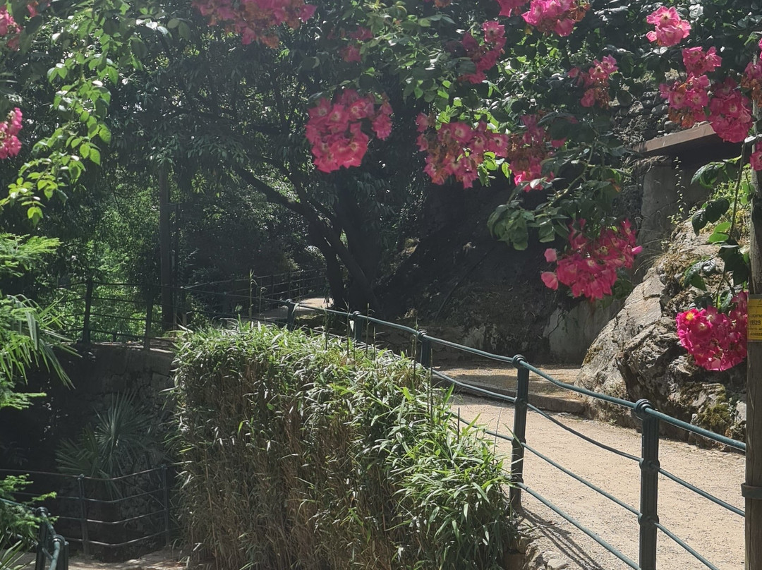 Passeggiata Gilf景点图片