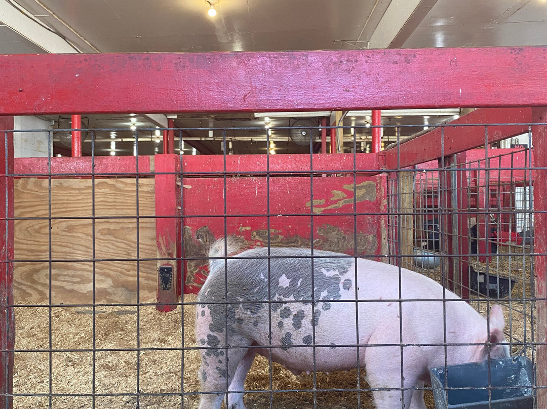 Young's Jersey Dairy Farm-Yellow Springs必去景点