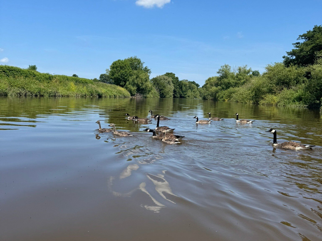 Symonds Yat Canoe Hire-Symonds Yat必去景点